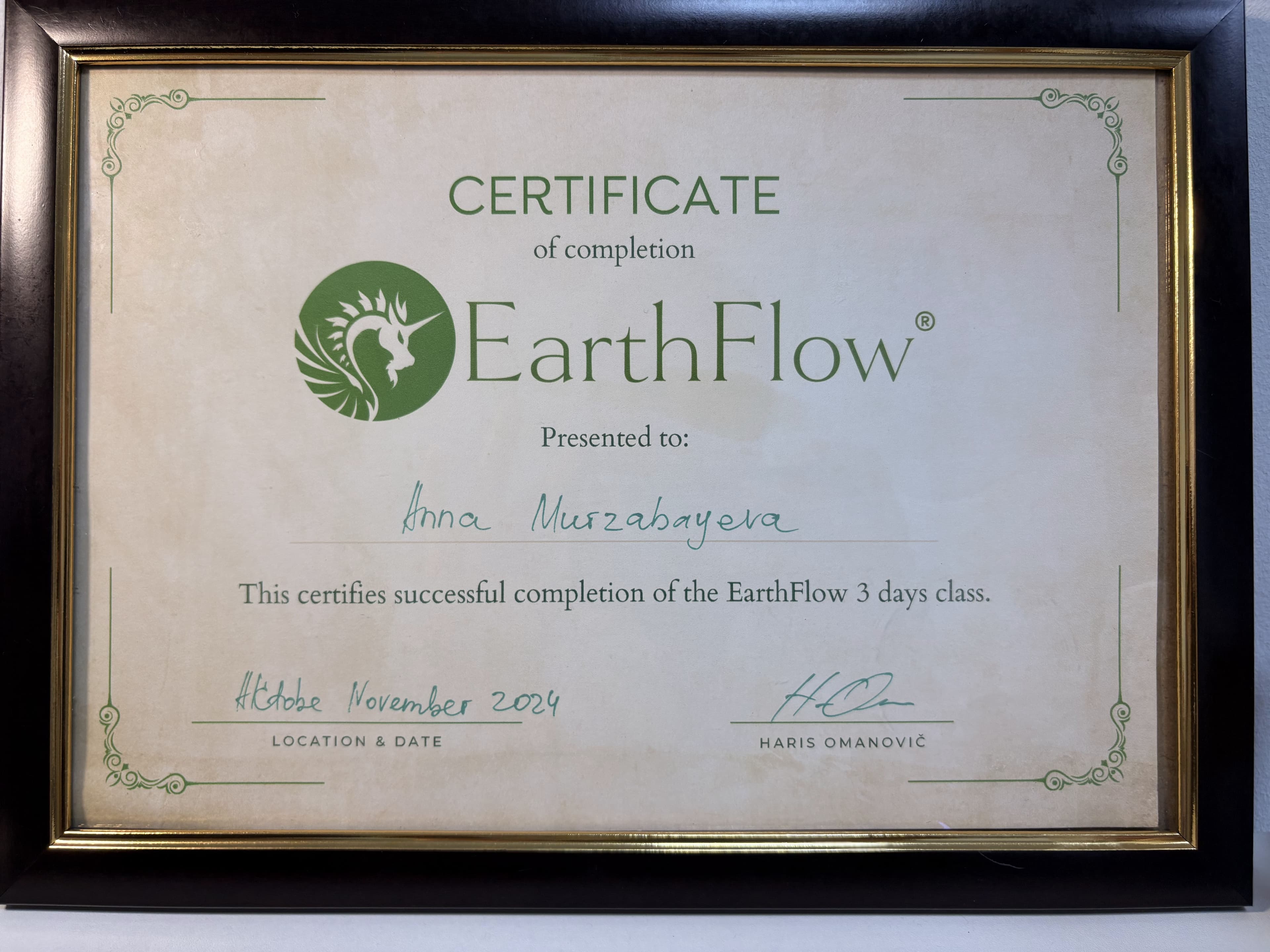 Сертификат EarthFlow